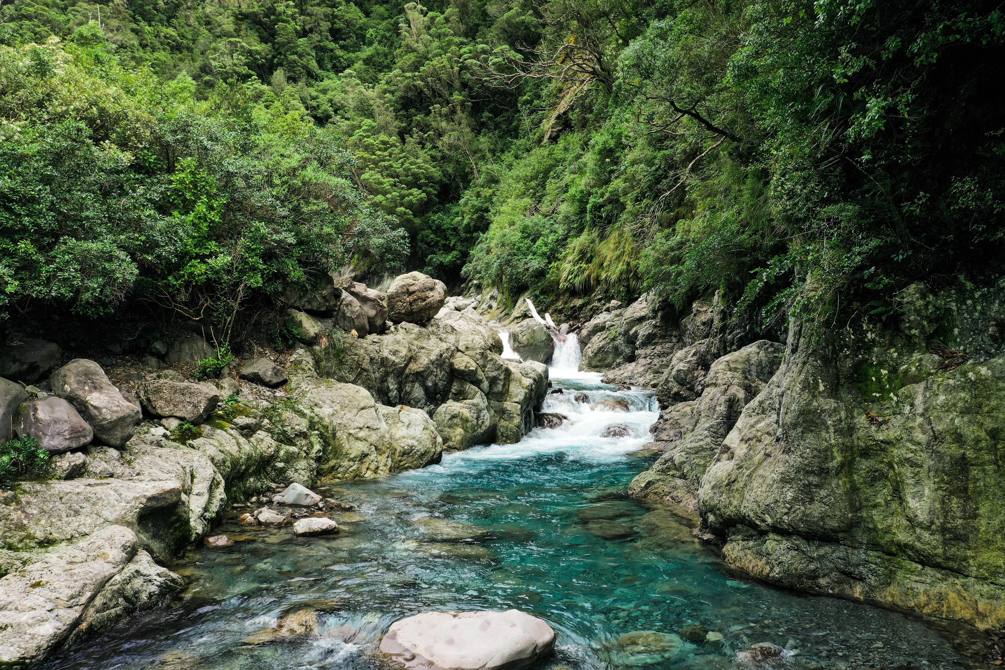 Leading better freshwater outcomes for Ngāi Tahu